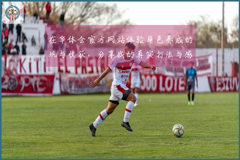 在华体会官方网站体验角色养成的坑与收获，分享我的真实打法与感悟